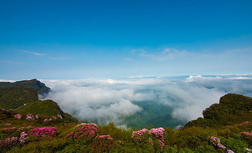重庆全域旅游规划 重庆全域旅游规划